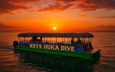 Best Tours & Experiences in Siesta Key Florida