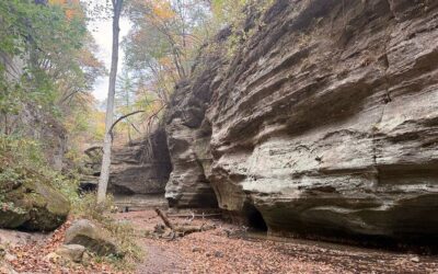 Best Tours & Experiences in Starved Rock Illinois