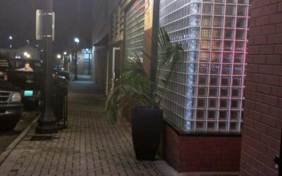 Best Tours & Experiences in Dothan Alabama
