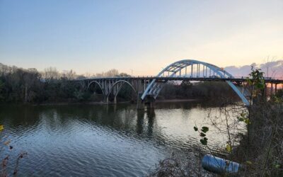 Best Tours & Experiences in Selma Alabama