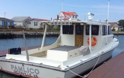 Best Tours & Experiences in Rehoboth Beach Delaware