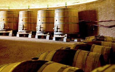 Best Tours & Experiences in Montalcino Italy