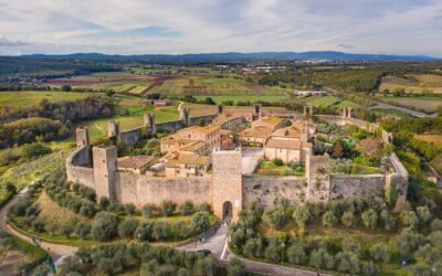 Best Tours & Experiences in Monteriggioni Italy
