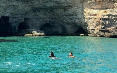 Best Tours & Experiences in Monopoli Italy