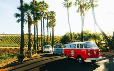 Best Tours & Experiences in Temecula California