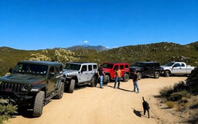 Best Tours & Experiences in Idyllwild Pines California