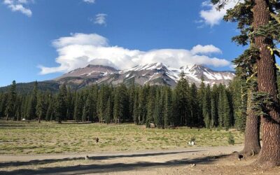 Best Tours & Experiences in Mount Shasta City