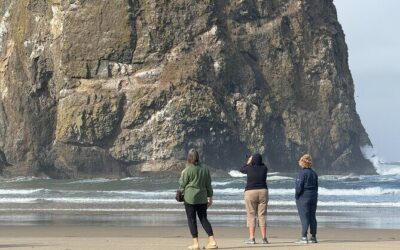 Best Tours & Experiences in Depoe Bay Oregon