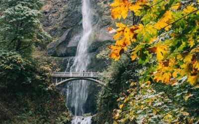 Best Tours & Experiences in Hood River Fruit Loop