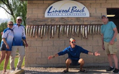 Best Tours & Experiences in Saginaw Michigan