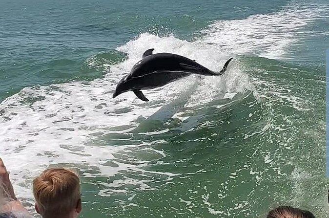 Dolphin Cruise - Beaufort South Carolina