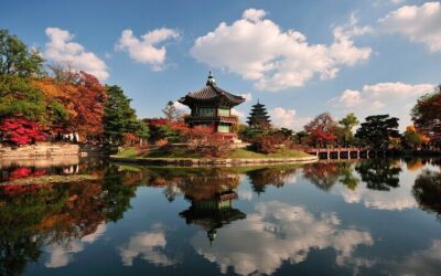 Exclusive JSA Museum Experience and DMZ Tour from Seoul (2026 Review & Booking Guide)