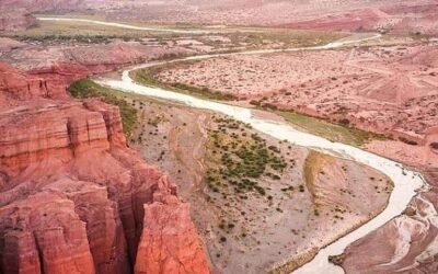 Best Tours & Experiences in Salta