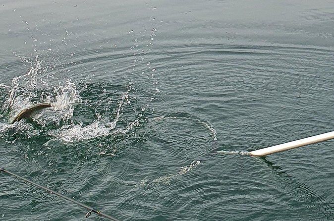 Fishing in Lake Constance Private Fishing Trip with a Fishing Boat