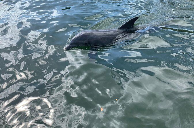 Florida Keys Boat Eco Tour - Siesta Key Florida