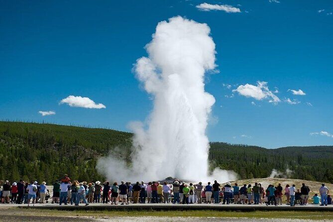 Meilleurs tours et expériences à Bozeman Montana 17 From Bozeman Yellowstone Full Day Tour Lower Loop - Bozeman Montana