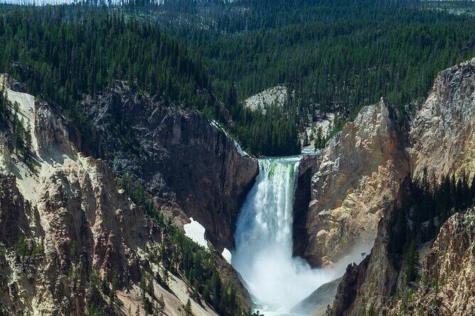 Full Day Best of Yellowstone National Park Tour from Bozeman - Cody Yellowstone Wyoming