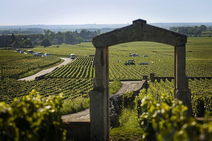 Best Things To Do in Beaune: Hospices de Beaune & Wine Cellar Tours 15 Full-Day Burgundy Wine & Gastonomy: Tastings & Gourmet Lunch