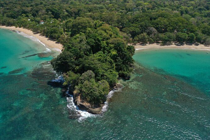 Full Day Cahuita National Park Snorkel and Hike Discovery from Limon and Puerto Viejo