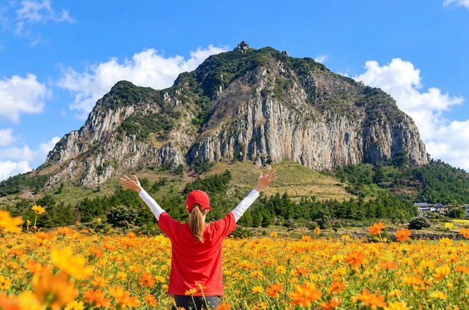 Best Tours & Experiences in Jeju Island 17 Full Day Jeju West Course Tour with Lunch