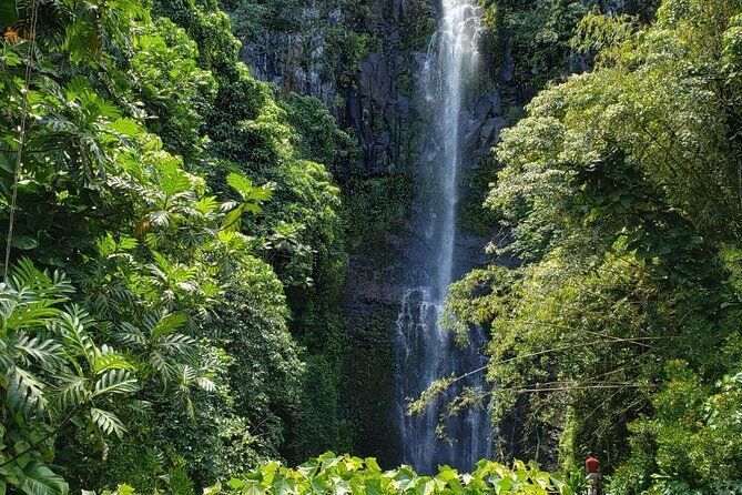 Full Day Maui Tour Road to Hana Tour - Hana Highway Maui