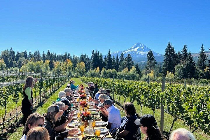 Les meilleurs tours et expériences à Hood River Fruit Loop 19 Full-Day Mt Hood Waterfall Tour with Lunch and Wine Included