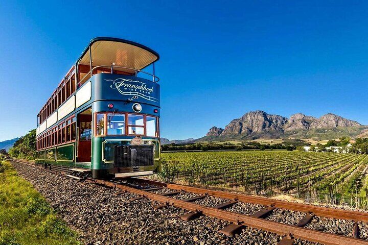 ステレンボッシュのおすすめツアー&体験 15 Full‑Day Stellenbosch and Franschhoek Wine Tour from Cape Town