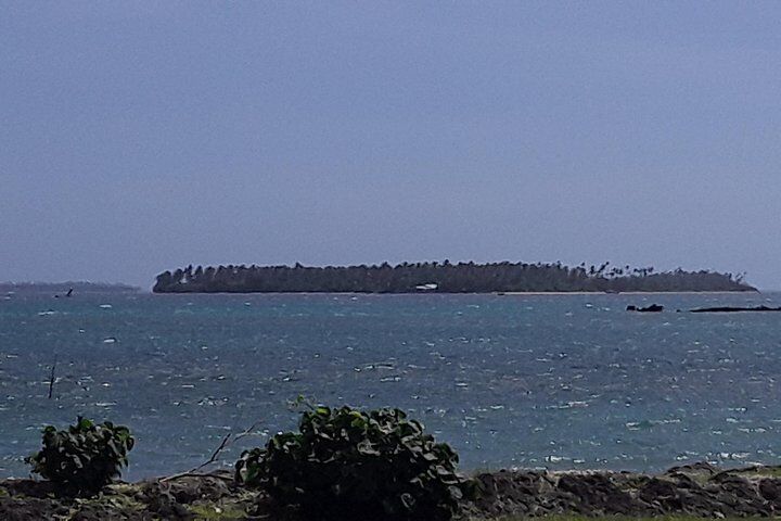 Best Things To Do in Tonga: Whale Swimming & Ha'amonga 'a Maui 15 Full Island Cultural and History Tour