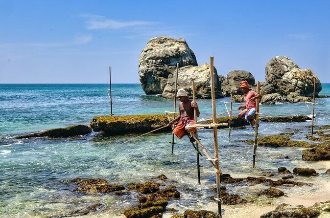 Best Tours & Experiences in Galle 18 Galle Day Trip and Stilt Fishermen from Koggala