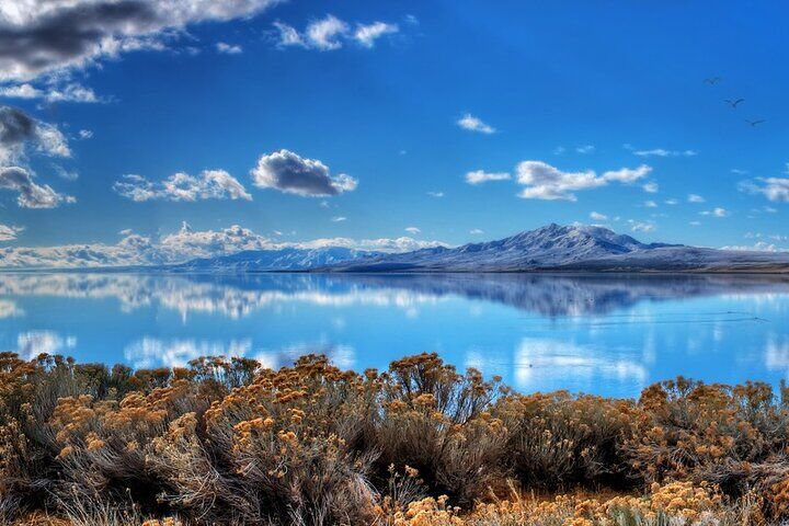 ソルトレイクシティのおすすめツアー&体験 15 Great Salt Lake and Antelope Island Day Tour