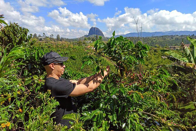 과타페 최고의 투어 & 체험 18 Guatape Tour and Several Options Horse Ride Coffee Farm Waterfall Flowerfarm