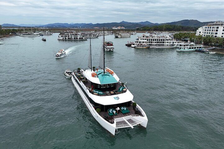 Ha Long Bay and Lan Ha Bay Premium Catamaran Cruise