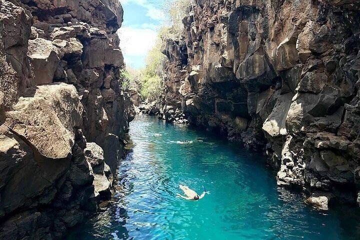 Half Day Bay Tour in Santa Cruz Island