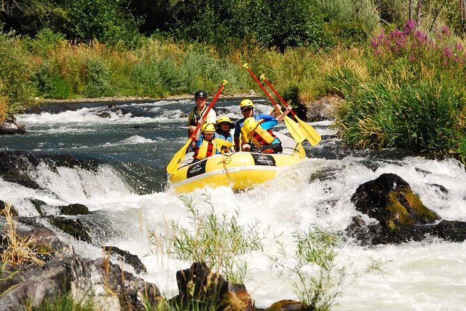 Meilleurs tours et expériences à Ashland Oregon 17 Half Day Rogue River Rafting - Ashland Oregon