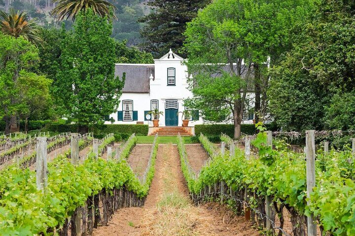 ステレンボッシュのおすすめツアー&体験 14 Half-Day Stellenbosch Winelands Tour from Cape Town