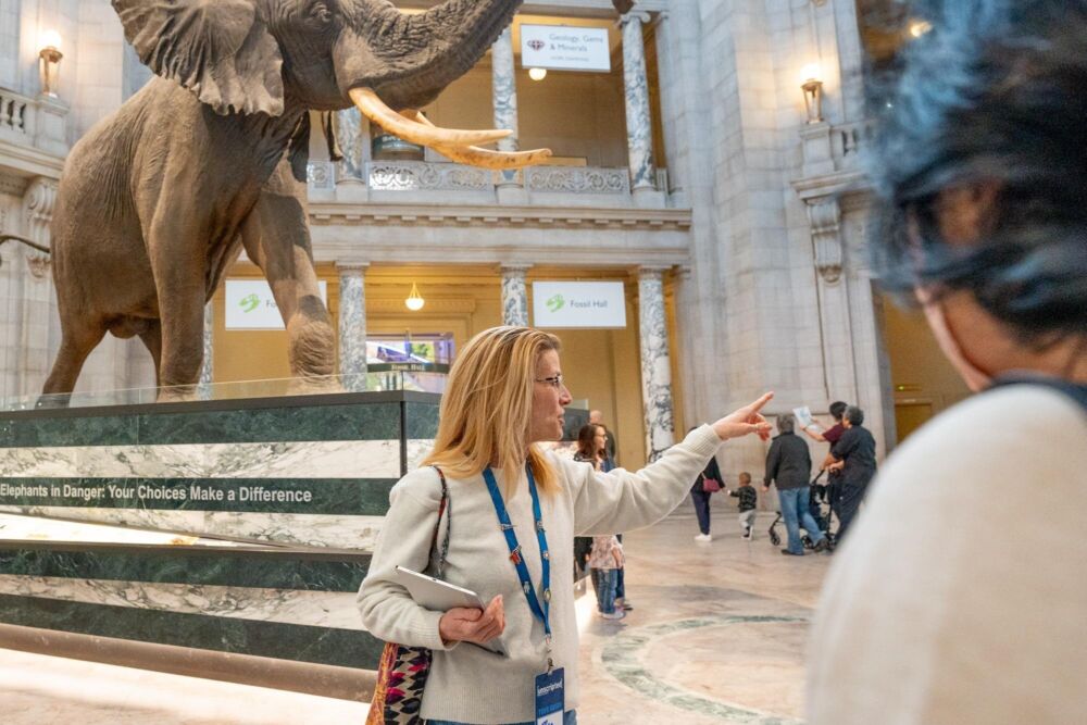 Highlights of the Smithsonian Small Group Guided Walking Tour