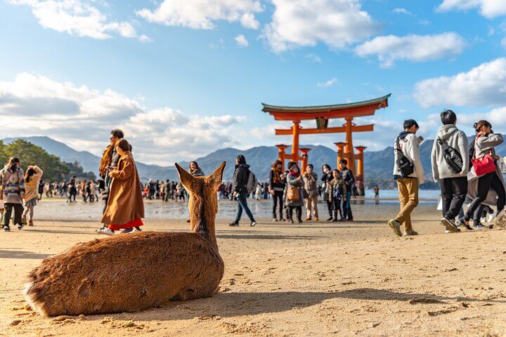 히로시마 최고의 투어 & 체험 13 Hiroshima and Miyajima Day Trip with Itsukushima Shrine & Ferry