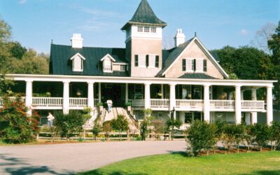 Historic Charleston Plantations: A Visitor’s Guide