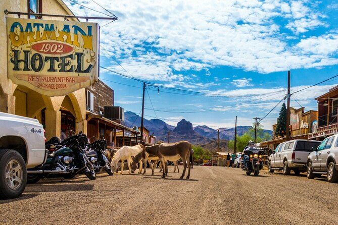 Historic Route 66 Bus Tour to Oatman - Lake Havasu City Arizona