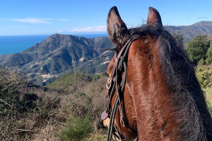 Best Tours & Experiences in Cinque Terre Vernazza Italy 19 Horse ride on the coast of Monterosso al Mare Cinque Terre
