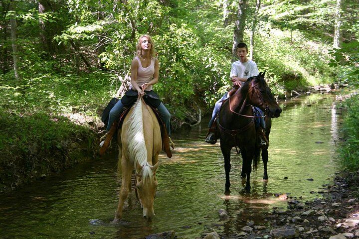 Horse Riding Experience in Marmaris with Transfer