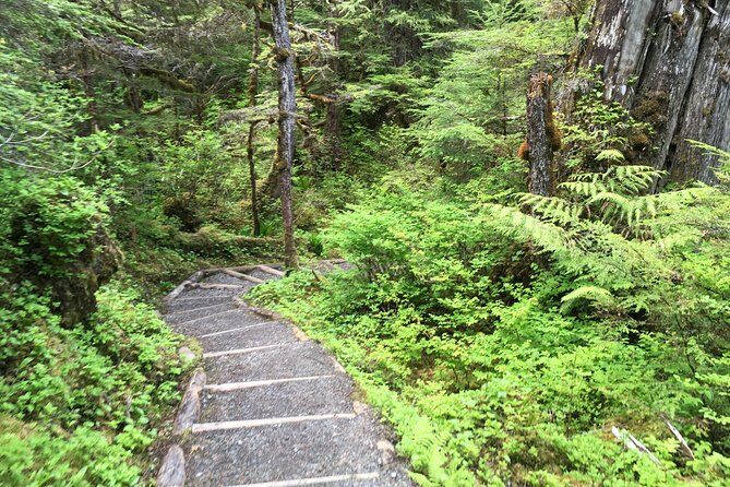 Hour Rainforest Walk and Totem Park - Ketchikan Totem Poles