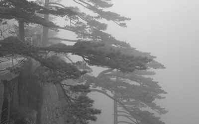 Best Things To Do in Huangshan: Sunrise Viewing & Welcoming Pine