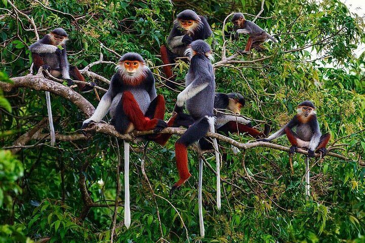 Best Tours & Experiences in Hue, Vietnam 10 Hue to Dn/Hoi An: Hai Van Pass, beaches & Mt Monkey or vice versa