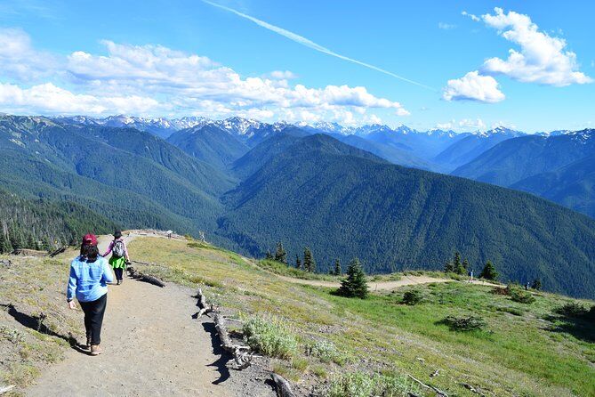 Die besten Touren und Erlebnisse in Port Angeles, Washington 21 Hurricane Ridge Olympic National Park Guided Tour - Port Angeles Washington