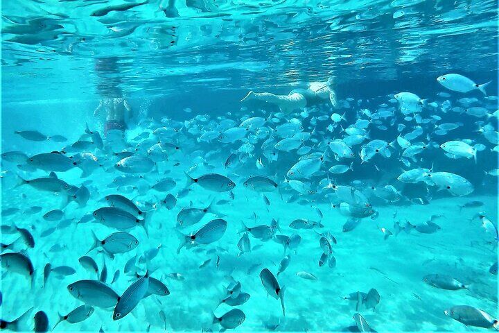 Ibiza Snorkeling Beach and Cave Tour