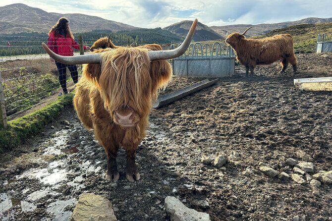 Isle of Skye Magic and Mystery Day Tour - Skye Portree Scotland