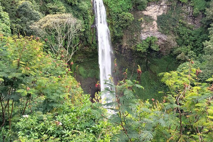 Best Tours & Experiences in Jakarta 14 Jakarta Bogor Botanical Garden, Waterfall and Rice terrace, Lunch