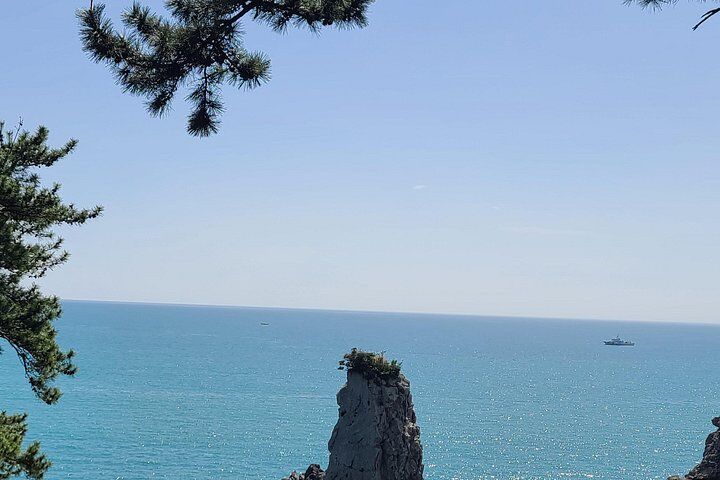 Best Tours & Experiences in Jeju Island 14 Jeju island private DAY Tour - South of Jeju