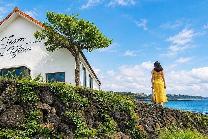 Best Tours & Experiences in Jeju Island 15 Jeju UNESCO West South and East Highlights 2 Days Combo Tour